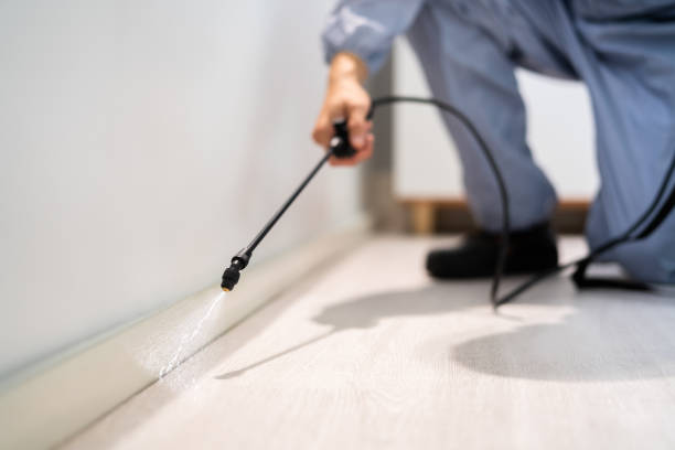 Licensed Cockroach Control service in Cadillac, MI - Nex Pest Control