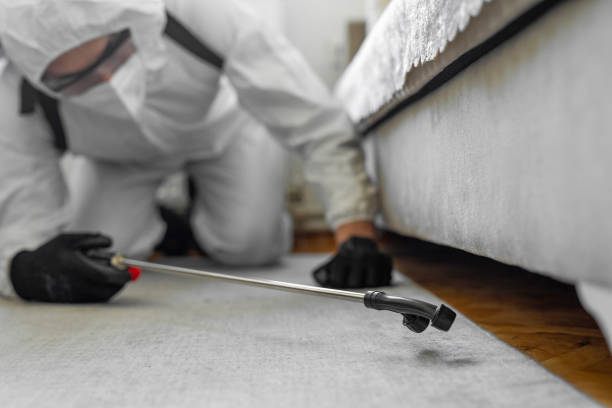 Professional Cockroach Control technician working in Cadillac, MI