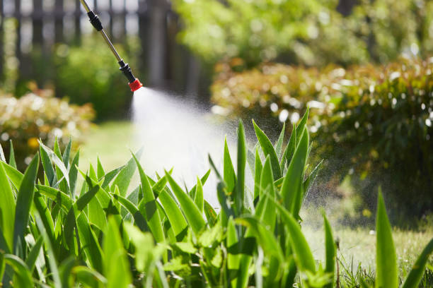 24/7 Emergency Cockroach Control experts in Cadillac, MI