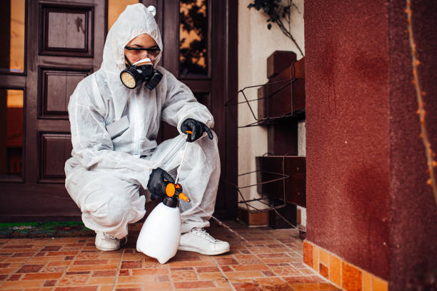 Reliable Cockroach Control contractor in Cadillac, MI by Nex Pest Control