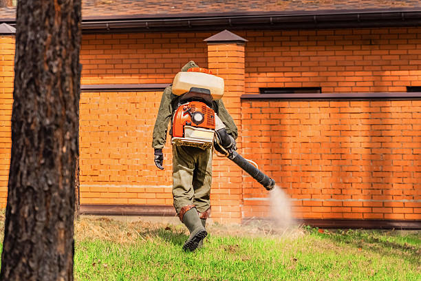 Trusted Cockroach Control service in Cadillac, MI - Nex Pest Control